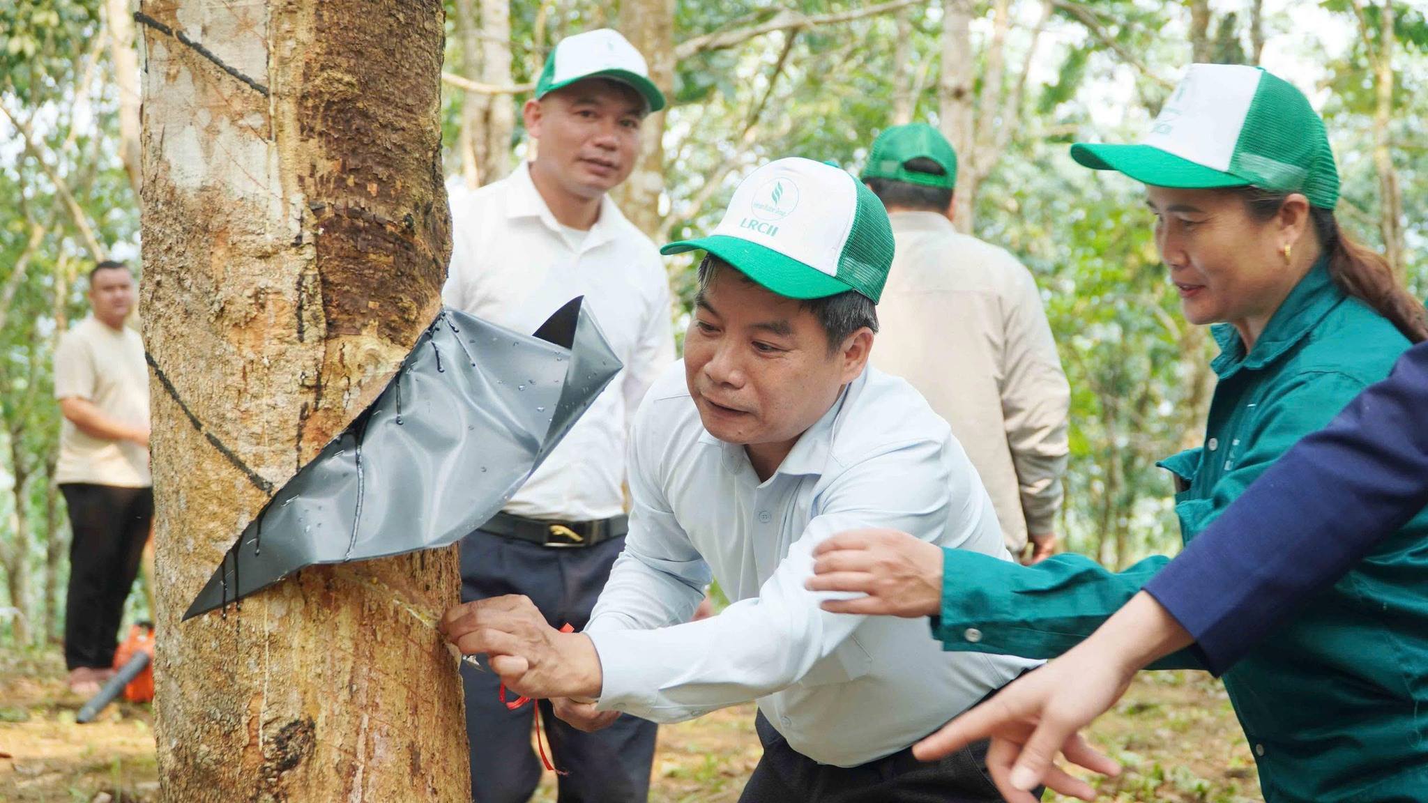 Hoạt động địa phương